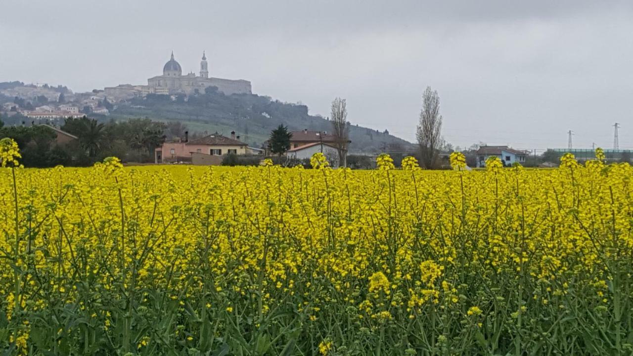 Villetta Del Conero 雷卡纳蒂港 外观 照片